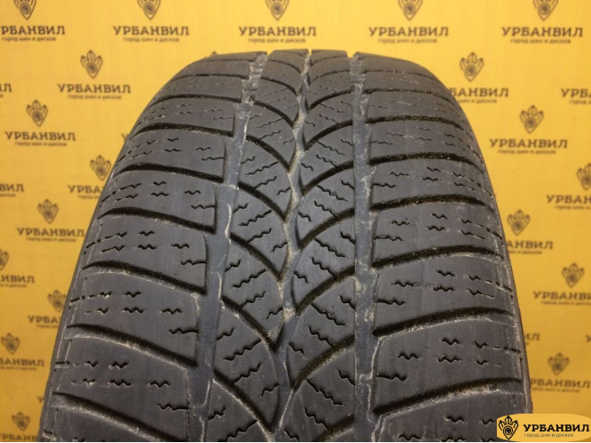 Tigar Winter 1 205/55 R16 94H