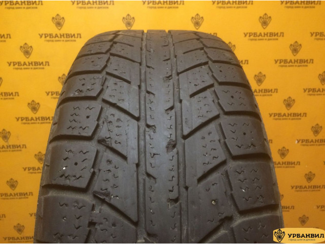 Autogrip Ecowinter 215/60 R16 95T